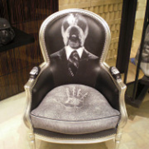 Dog Chair