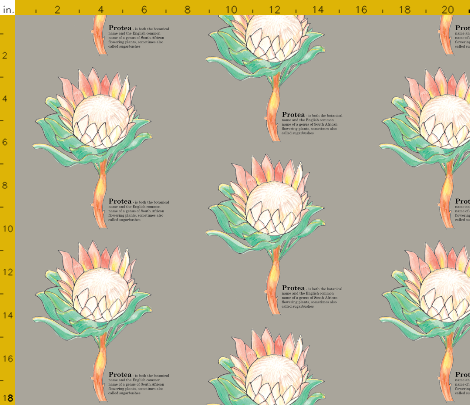 Protea-Sugarbush-Design