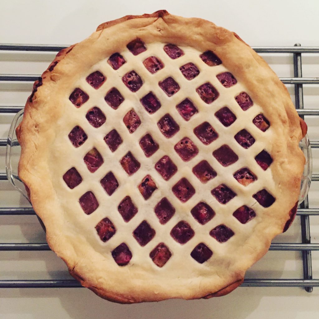 the-best-strawberry-rhubarb-pie